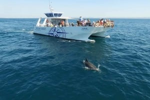 Vilamoura: Boat Tour Dolphin Quest