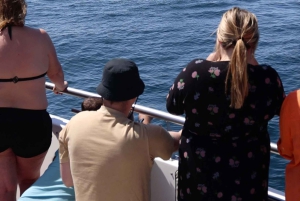 Vilamoura: Passeio de barco Dolphin Quest