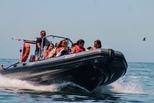 Vilamoura : visite privée de la grotte de Benagil avec pause baignade