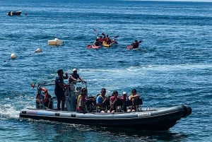 Vilamoura : visite privée de la grotte de Benagil avec pause baignade