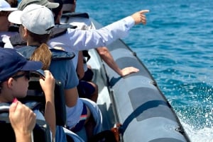 Vilamoura : visite privée de la grotte de Benagil avec pause baignade