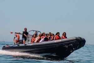 Vilamoura: tour privato della grotta di Benagil con sosta per nuotare