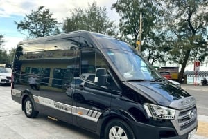 Vip Tour Phong Nha: Paradise Cave & Dark Cave Private Tour