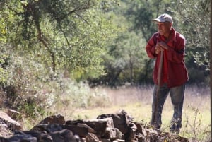 Walk through Hills With a Local Goat Herder and Their Goats