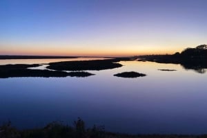 Besichtigung von Tavira/Ilha de Tavira/Barril/Santa Luzia zu Fuß