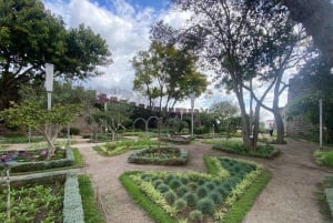 Besichtigung von Tavira/Ilha de Tavira/Barril/Santa Luzia zu Fuß