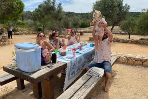 Wine Not – Algarve Winery Tour