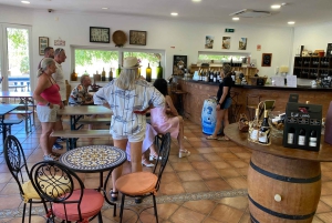Wine Not - Tour por las bodegas del Algarve