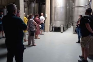 Albufeira: Winery Tour with Tapas Boards