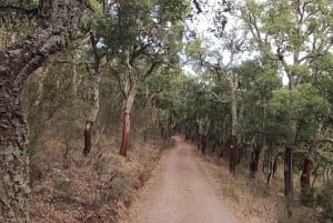 Wine Tasting Off-Road Tour