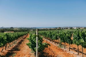 Wine Tasting Off-Road Tour