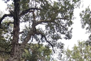 Offroad-tur med vinsmagning