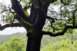 Offroad-tur med vinsmagning