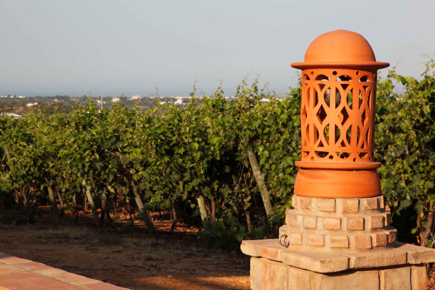 Esperienza nel mondo del vino