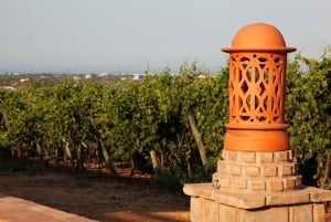 Esperienza nel mondo del vino