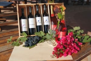 Esperienza nel mondo del vino