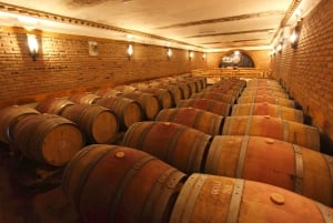 Esperienza nel mondo del vino