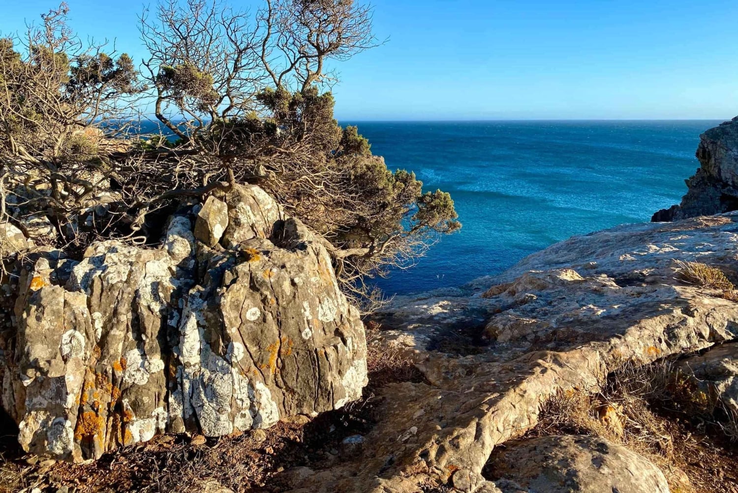 ザヴィアル：地平線を広げる | 海岸ハイキングとヨガ
