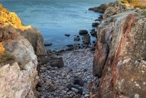 ザヴィアル：地平線を広げる | 海岸ハイキングとヨガ