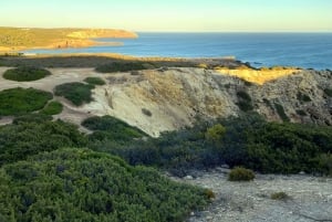 ザヴィアル：地平線を広げる | 海岸ハイキングとヨガ