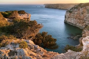 ザヴィアル：地平線を広げる | 海岸ハイキングとヨガ