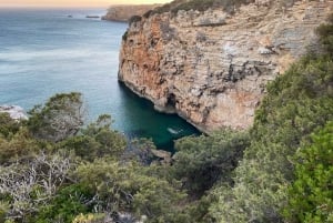 ザヴィアル：地平線を広げる | 海岸ハイキングとヨガ