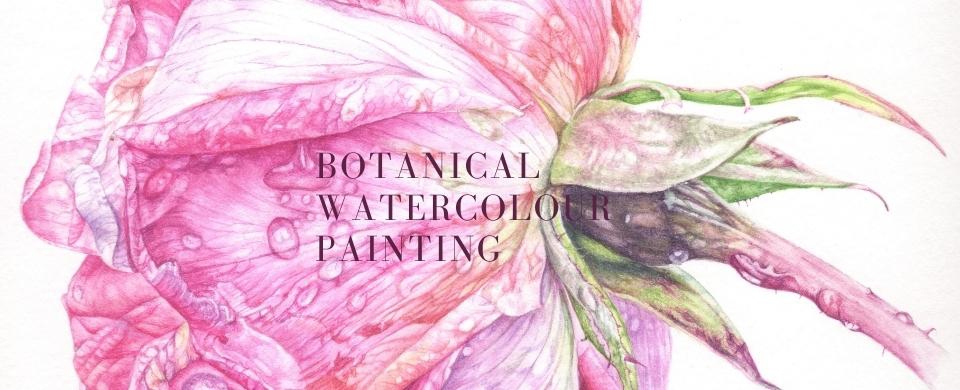 Botanical Watercolour Painting