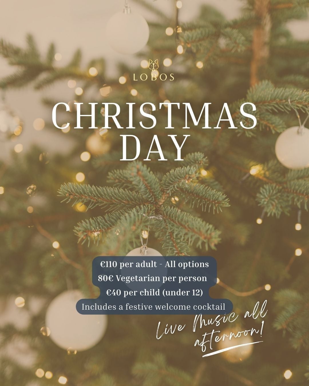 Christmas Day at Lobos