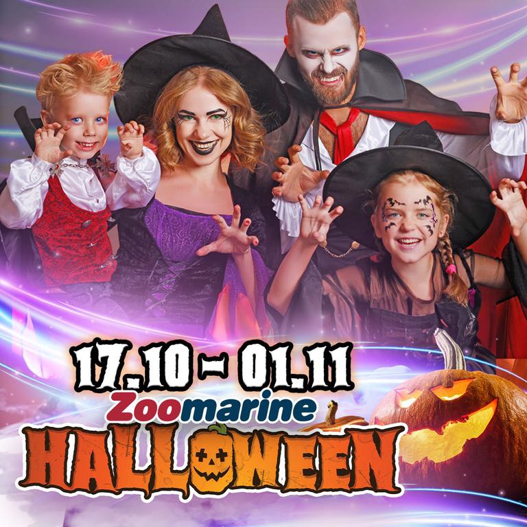 Halloween at Zoomarine