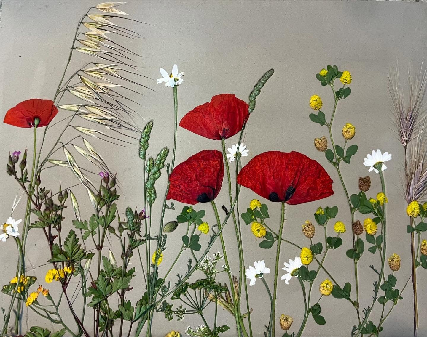 Hand-painted Ceramics Corte Real Gallery