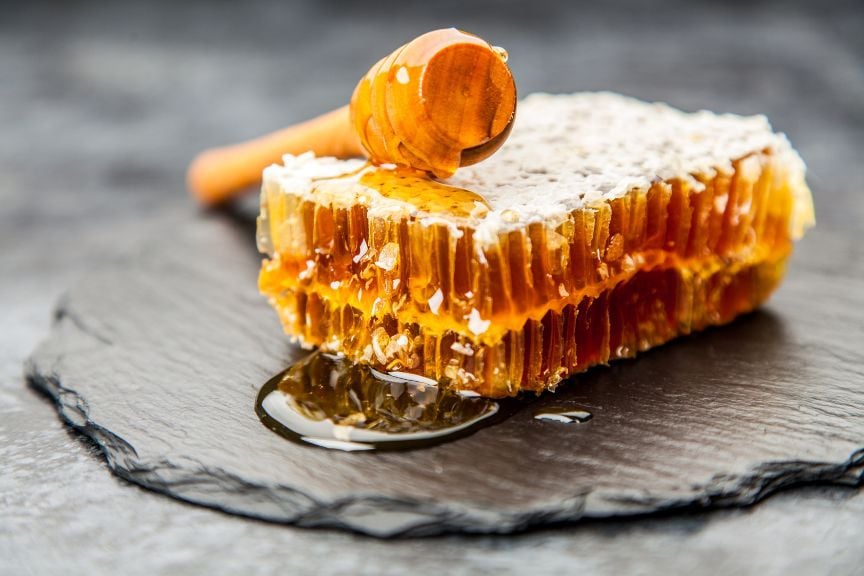 Honey Harvesting Experience