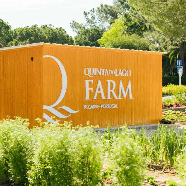 Q Farm Tours