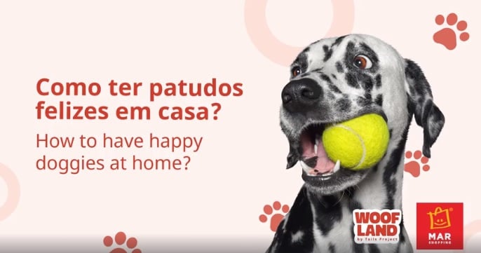 Sex dog video in Fortaleza