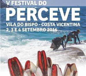 5th Festival do Perceve