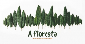 A Floresta Exhibition