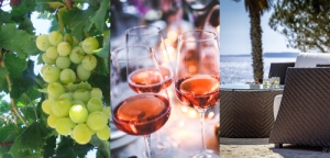 Algarve for Wine Lovers at Vivenda Miranda