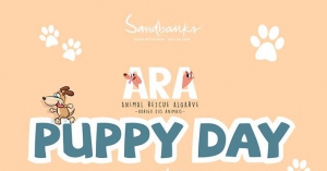 ARA Puppy Day at Sandbanks