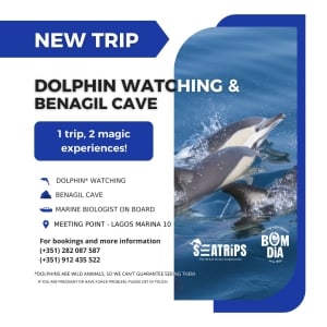 Benagil & Delfiner från Lagos
