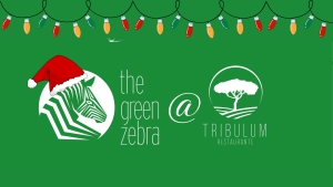 Christmas Parties by Green Zebra