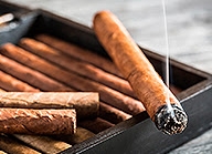 Cigar Rolling Master Class at GUSTO - Conrad Algarve
