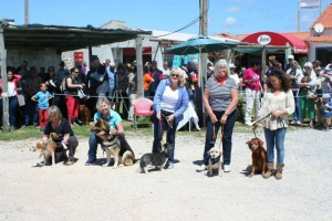 Costa Vicentina Dog Show