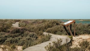 Desert Island Gourmet Experience