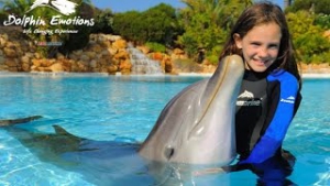 Dolphin Emotions - Summer Discount for Algarve Residents