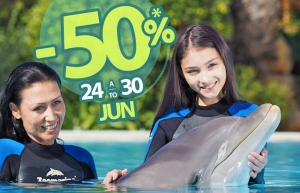 Dolphin Emotions - Summer Discount for Algarve Residents