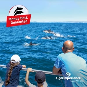 Dolphin Watching Money Back Guarantee  with AlgarExperience