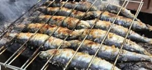 Festival de la sardine de Portimão