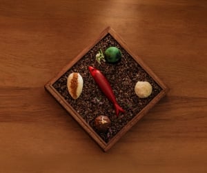 Festive Season 2025 W Algarve Christmas New Year