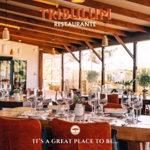 Fish and Chips at Tribulum