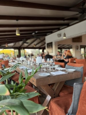 Fish and Chips at Tribulum