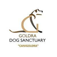 Goldra Dog Sanctuary Charity Lunch
